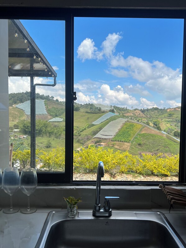 Family Villa | Private kitchen | Full-size fridge, stovetop, rice cooker, cookware/dishes/utensils