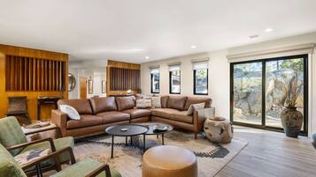 Televisión, chimenea, libros