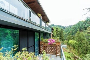 Vista desde la propiedad