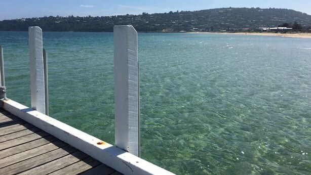 A clear view of a wooden dock leading into a body of water with a distant beach and hill in the background. - Beach Walk Apartment (Safety Beach)