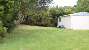 A grassy yard with a shed and a tree.