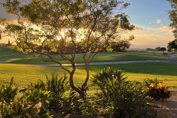 Gorgeous Views Throughout