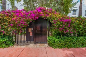 Àrea exterior de l'allotjament