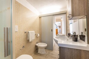 Shower, hair dryer, bidet, towels
