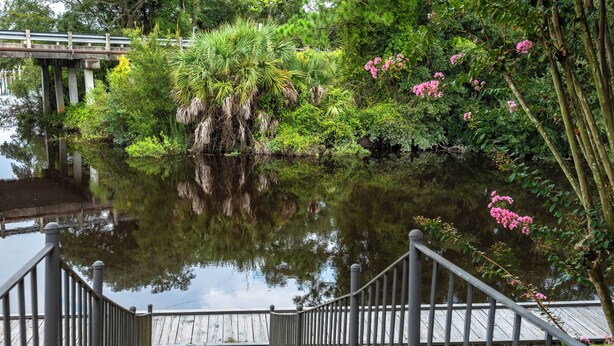 A wooden staircase leading to a bridge over a calm water body, surrounded by lush greenery and pink flowers. - Gulf - Charming 2Br Lake Front Apartment (Gulfport)