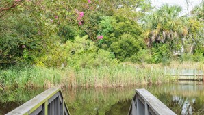 A wooden bridge over a calm water body with dense greenery and trees in the background. - Gulf - Charming 2Br Lake Front Apartment (Gulfport)