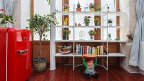Ein Zimmer mit einem roten Kühlschrank, einem weißen Bücherregal mit Pflanzen und einer Gartenzwergfigur.