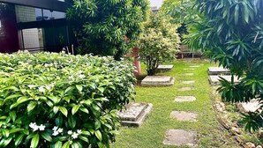 A well-maintained garden with a stone pathway, lush greenery, and a small tree. - Beautiful and cozy flat. Complete and just 50 m from the beach  (Candeias Jaboatão dos Guararapes)