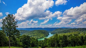 Un río serpentea por un valle boscoso con montañas al fondo y un cielo azul despejado con nubes.