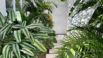 Un vialetto delimitato da grandi piante in vaso e una struttura a pergola.