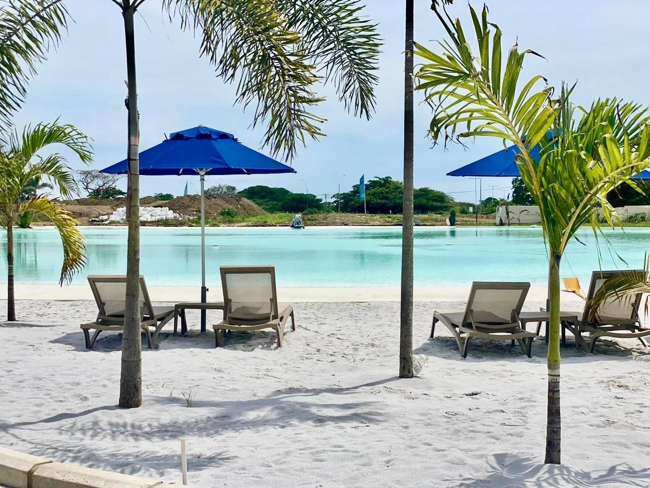 A beach with lounge chairs and umbrellas, a clear pool, and palm trees.