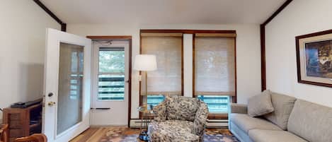 Televisión y chimenea