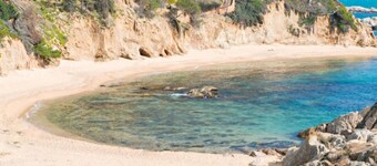 Cap Llarg 9 in Roses
