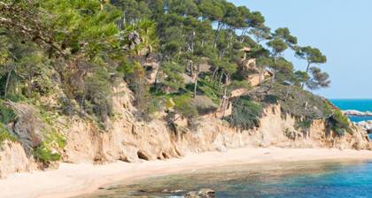 Cap Llarg 9 in Roses