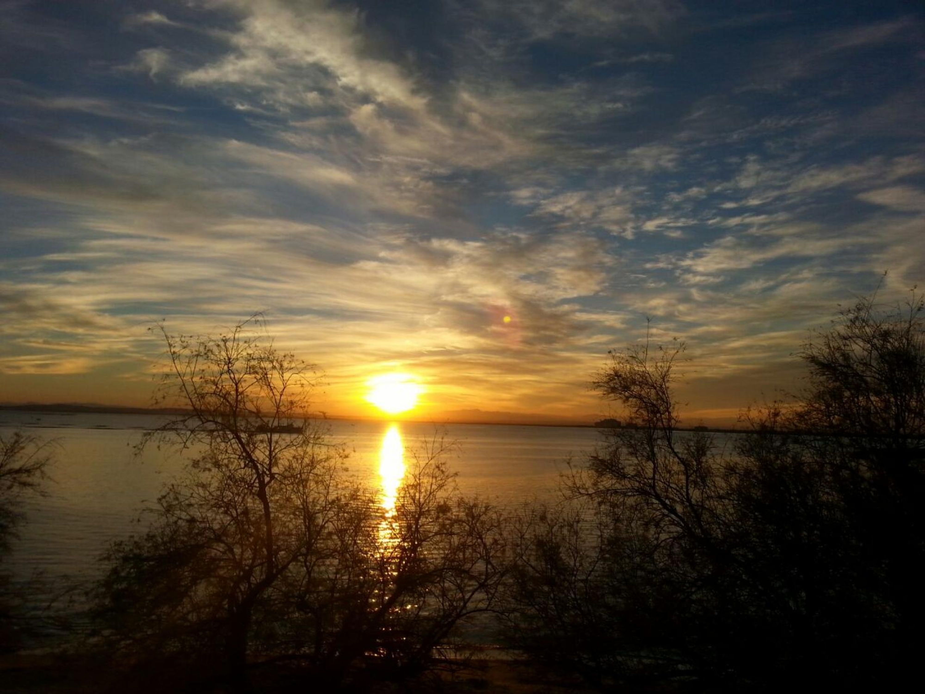 Solnedgang over et roligt vandareal med silhuetter af træer i forgrunden.