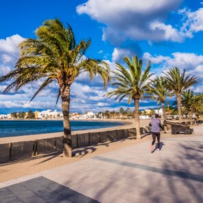 A coastal promenade with palm trees, a sea view, and a paved walkway. - La Pinta 4 Bj in Roses (Roses)