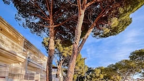 Una strada costiera con un sentiero in pietra, alberi e un edificio con balconi.