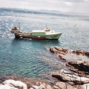 A boat on calm water near rocky shores. - Can Parramon A in Roses (Roses)