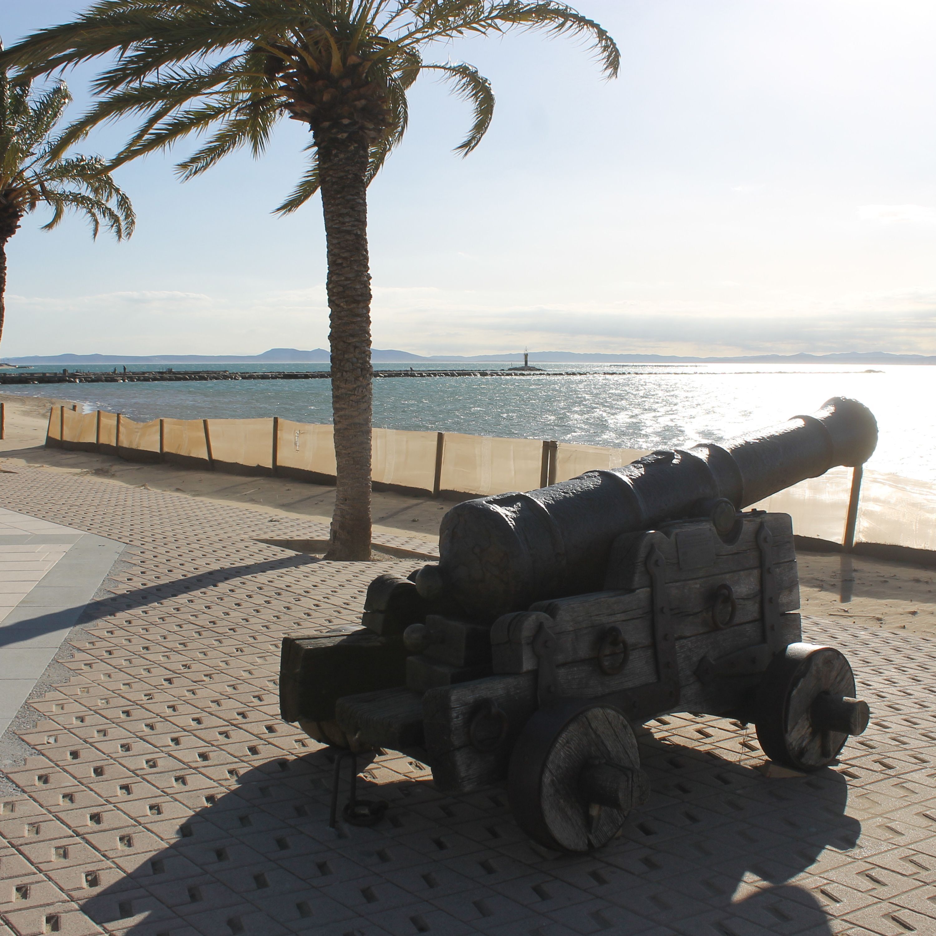 Un cañón en una zona pavimentada con una palmera y vista al mar.
