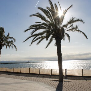 A palm tree in a paved area with a view of the sea and mountains in the distance. - Pi Sunyer 4 1B in Roses (Roses)
