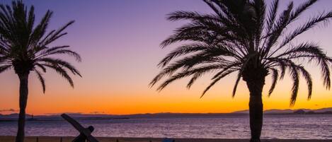 Appartamento | 1 camera