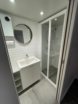 Hair dryer, towels, soap, toilet paper - Close to the Eiffel Tower, tiny triplex apartment on the banks of the Seine in Paris.  (Paris)