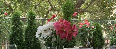 Restauration en plein air