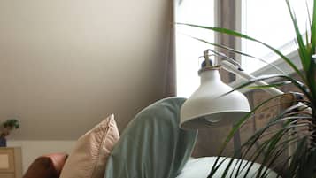 1 bedroom, desk, WiFi, bed sheets