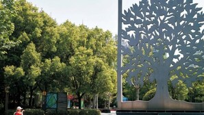 A tree sculpture, a fountain, and a person in a red shirt. - Tianping Hotel Shanghai Xujiahui（Wukang Road） (Shanghai)