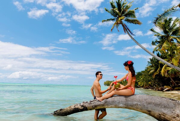 Sun-loungers, beach towels