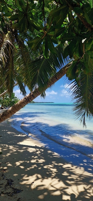 Sun loungers, beach towels