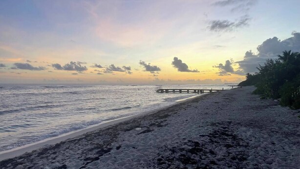 Beach - Country Road, Take me Home- your own Island Cottage! (Savannah)