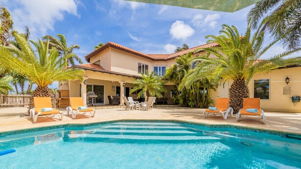 A swimming pool with lounge chairs and palm trees. - Amazing 4br4ba Villa w Pool Birdsanctuary Views (Noord)