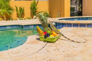 Zwembadgedeelte met een fruitschaal met ananas, druiven en ander fruit, omgeven door een gele muur en cactussen.