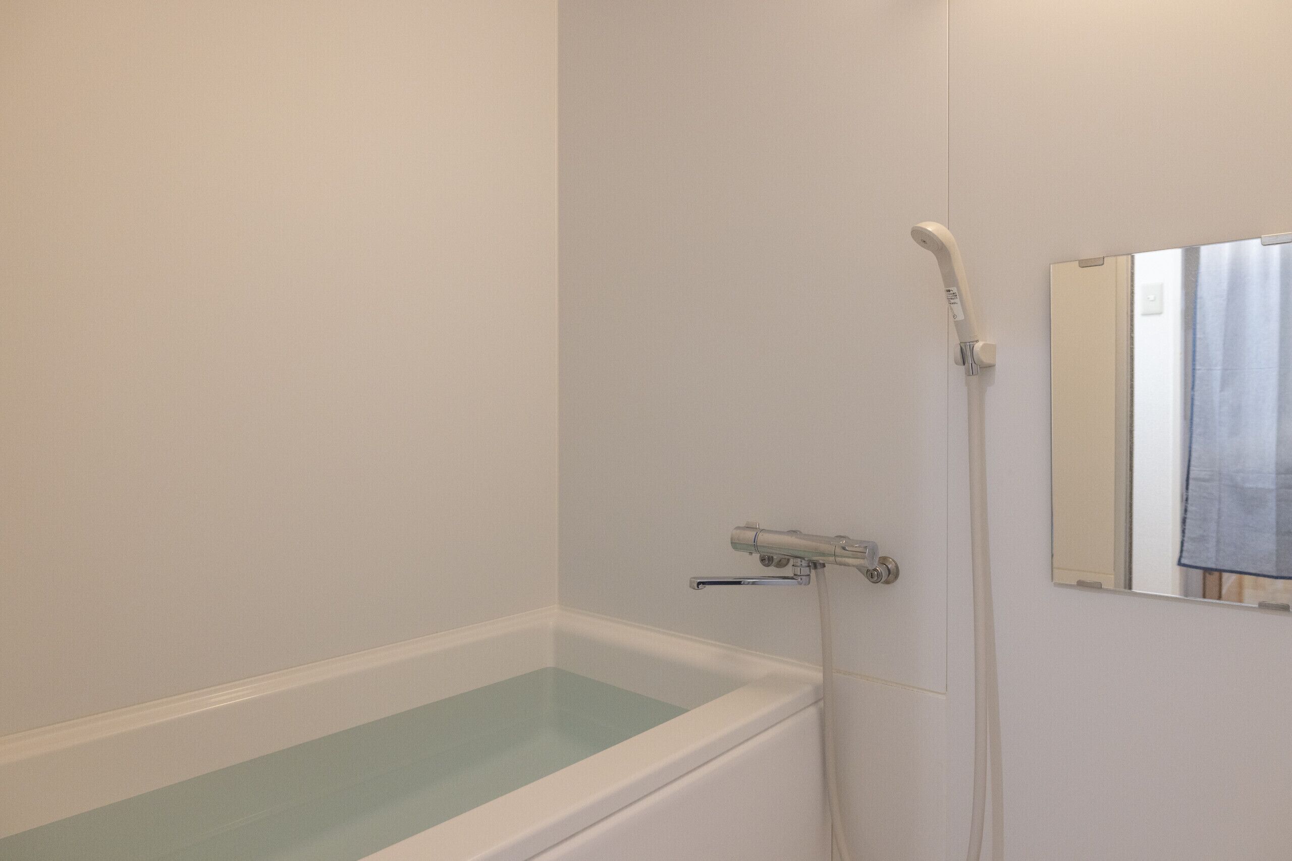 Een badkamer met een badkuip, een douche en een spiegel.