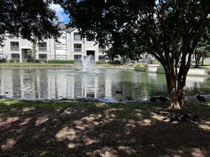 Exterior - Comfy 1-bedroom apartment with WiFi, fitness room in charming Houston (Houston)