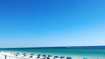 Sun loungers, beach towels