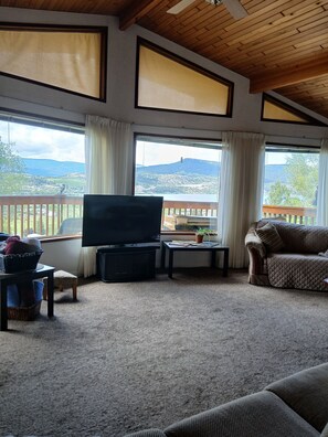 TV connectée, cheminée, livres, médiathèque