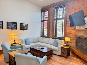 TV, fireplace, books