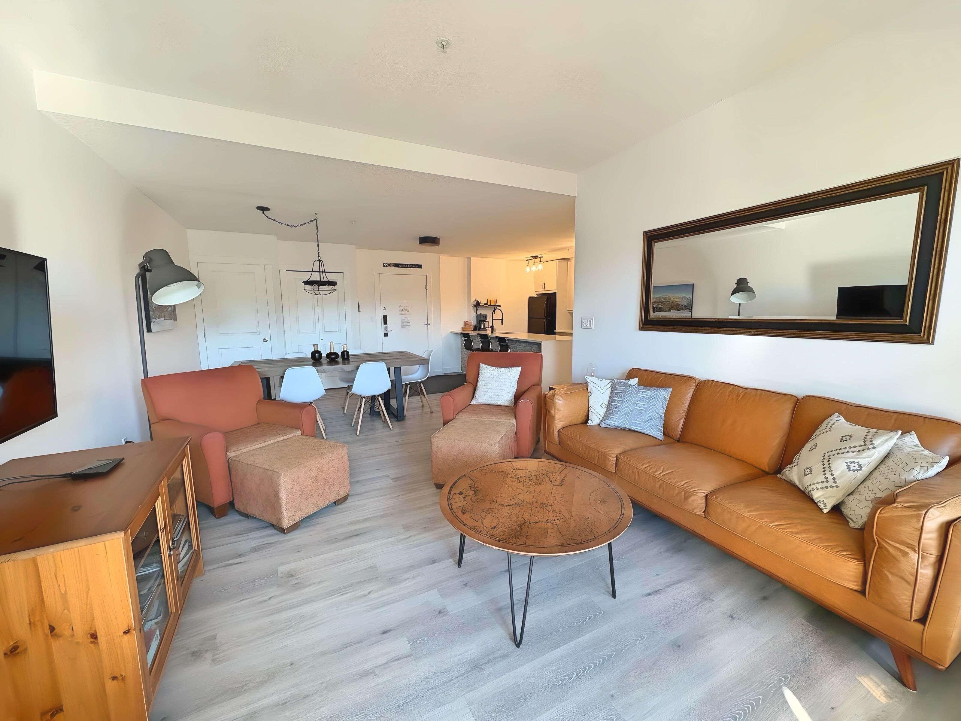 TV, fireplace, books