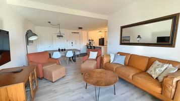 TV, fireplace, books