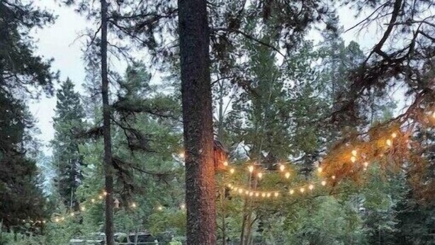 Un espace pique-nique équipé d’un banc en bois et d’une table à pique-nique, entouré d’arbres et d’un champ d’herbe.