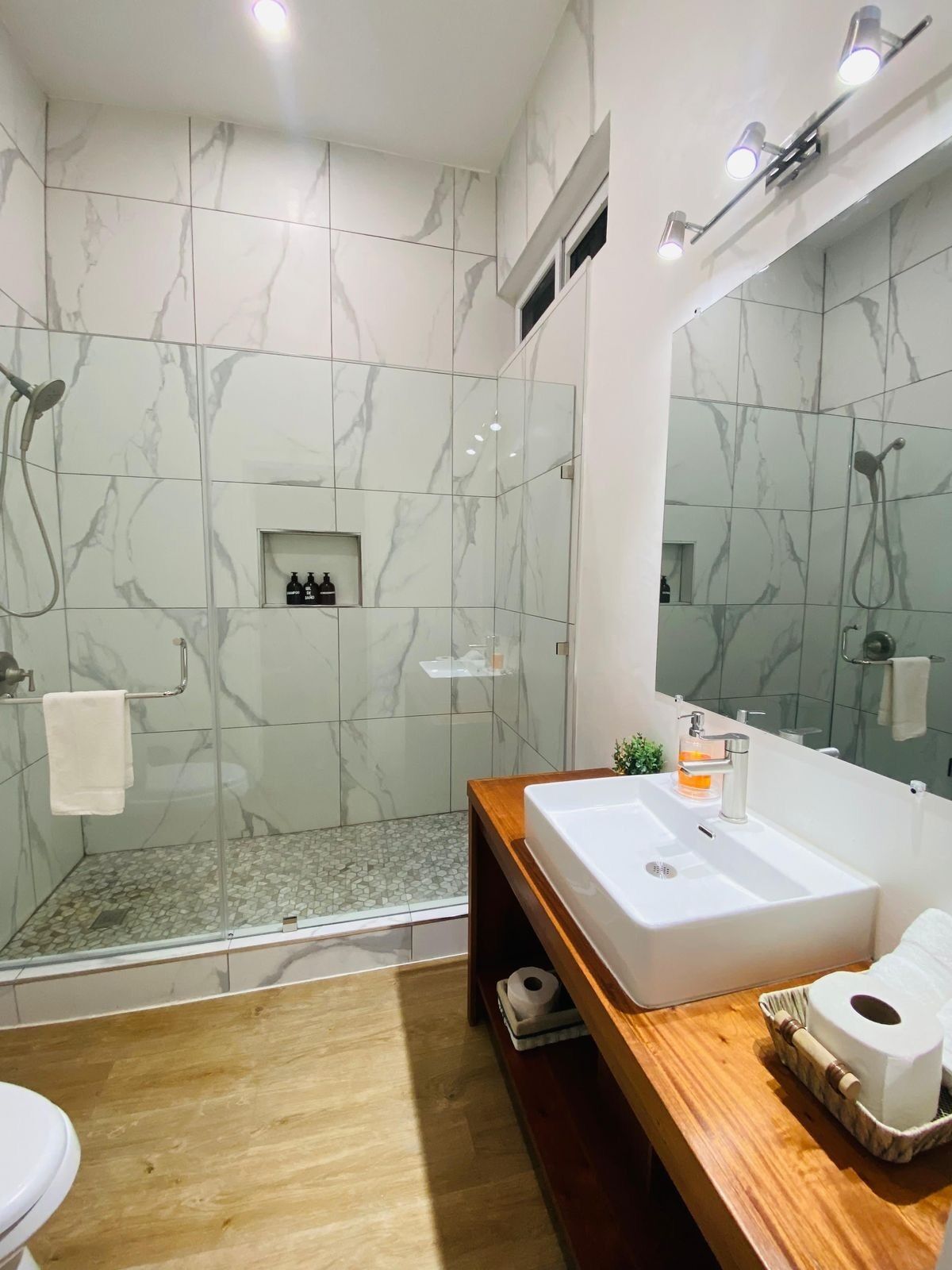 Hair dryer, towels, soap, shampoo
