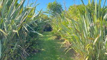 House | 1 bedroom, Internet