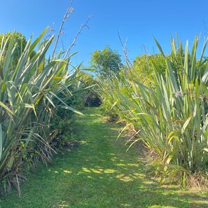 House | 1 bedroom, Internet - The Cockle - Private Beach Abode (Pakawau)