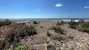 Une plage avec un banc en bois, des galets et des fleurs.
