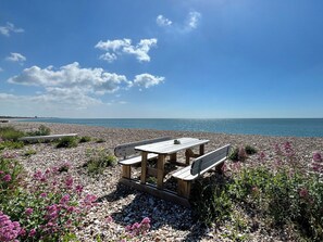 Fishing - 1 bedroom accommodation in Pagham near Bognor Regis (Pagham near Bognor Regis)