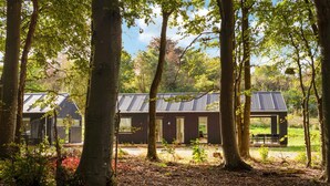 Eine Holzhütte mit Metalldach, umgeben von Bäumen und einer Wiese.