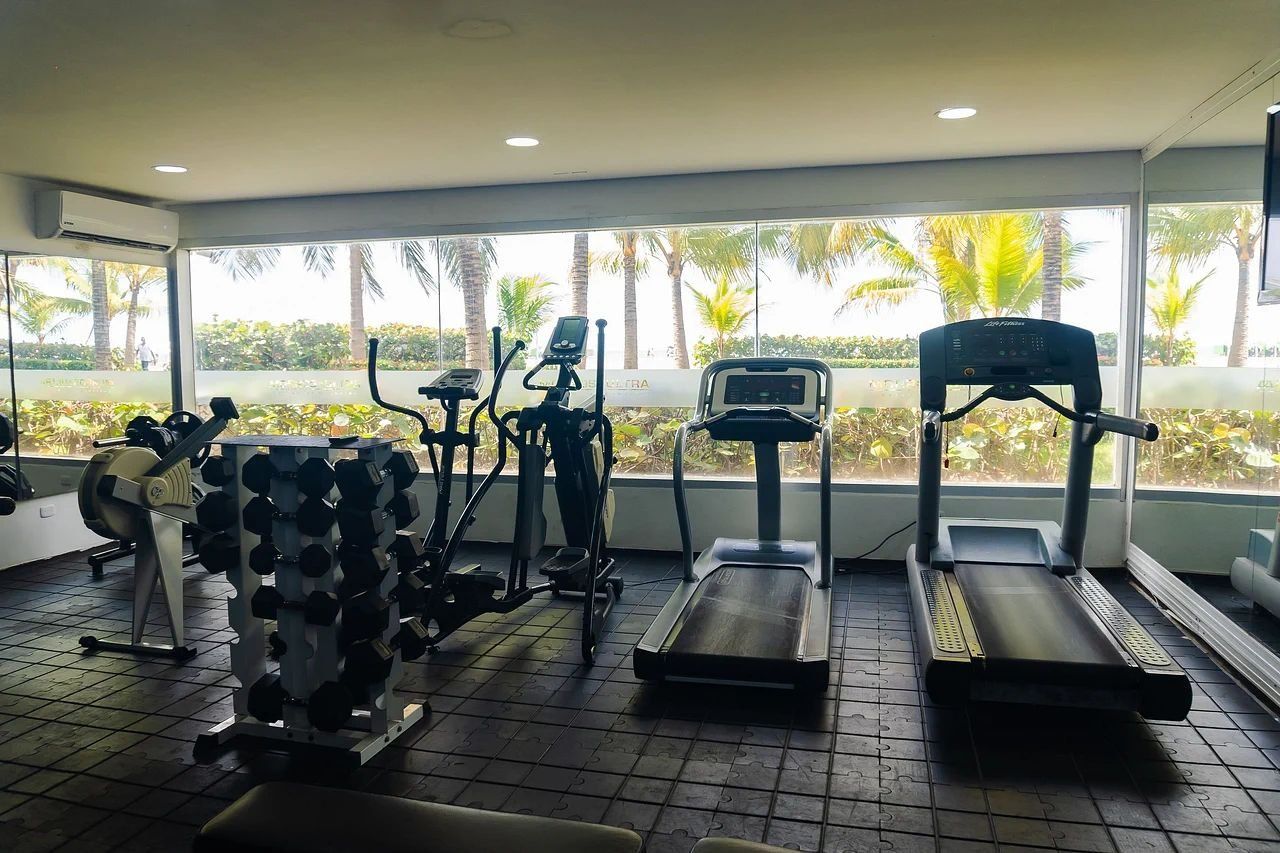 Un gimnasio con cintas de correr, pesas y una bicicleta estática, con grandes ventanales que dan a palmeras.