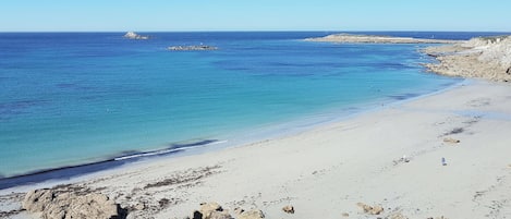 ビーチの近く、釣り